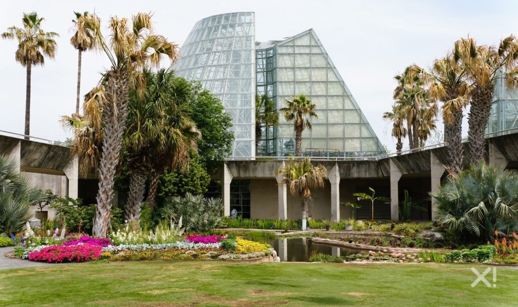 San Antonio Botanical Garden with palm trees, colorful seasonal flowers, and glass conservatories—enjoyed with fewer crowds in January.
